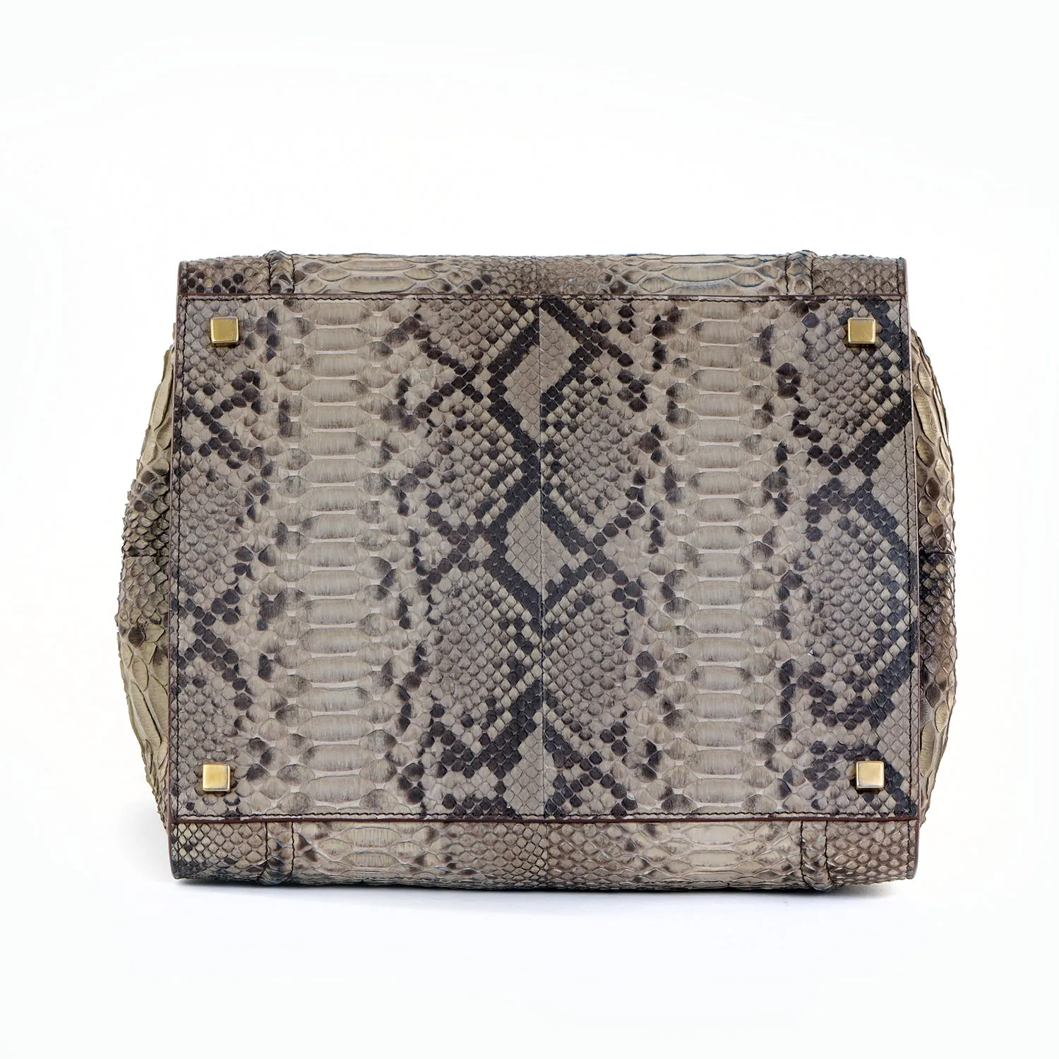 Large Snakeskin Phantom Tote