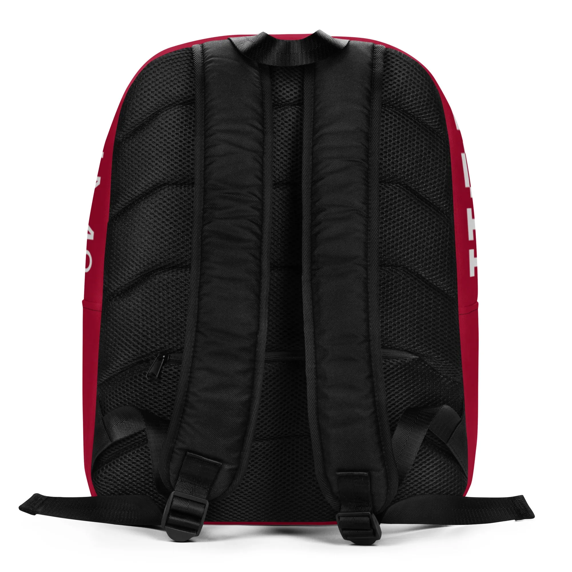 WERK Through The Clouds Backpack